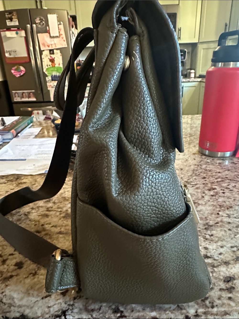 Freshly Picked Olive Pebbled Mini Backpack with Gold Hardware - Picture 4 of 8